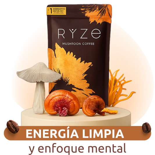 RIZE | Kit de Inicio Café con Hongos